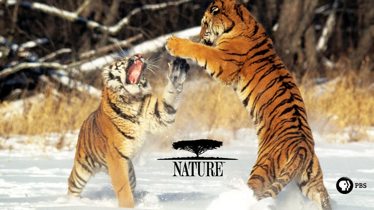 Nature - Season 15 Episode 14 : Spirits of the Jaguar: The World of Aztecs