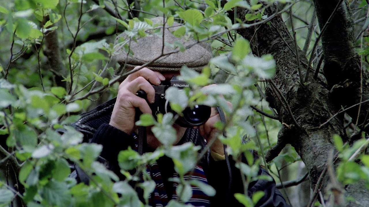 Murder Obsession backdrop