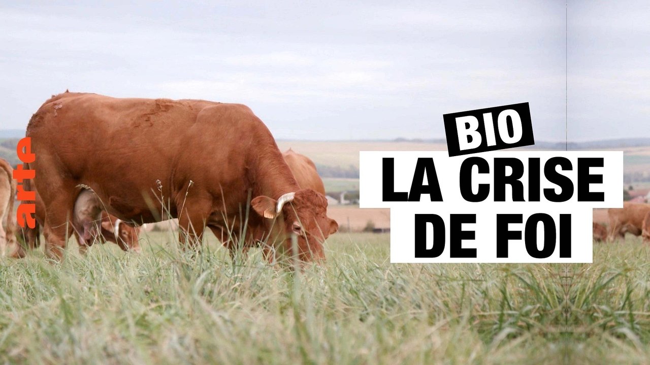 Bio La Crise De Foi