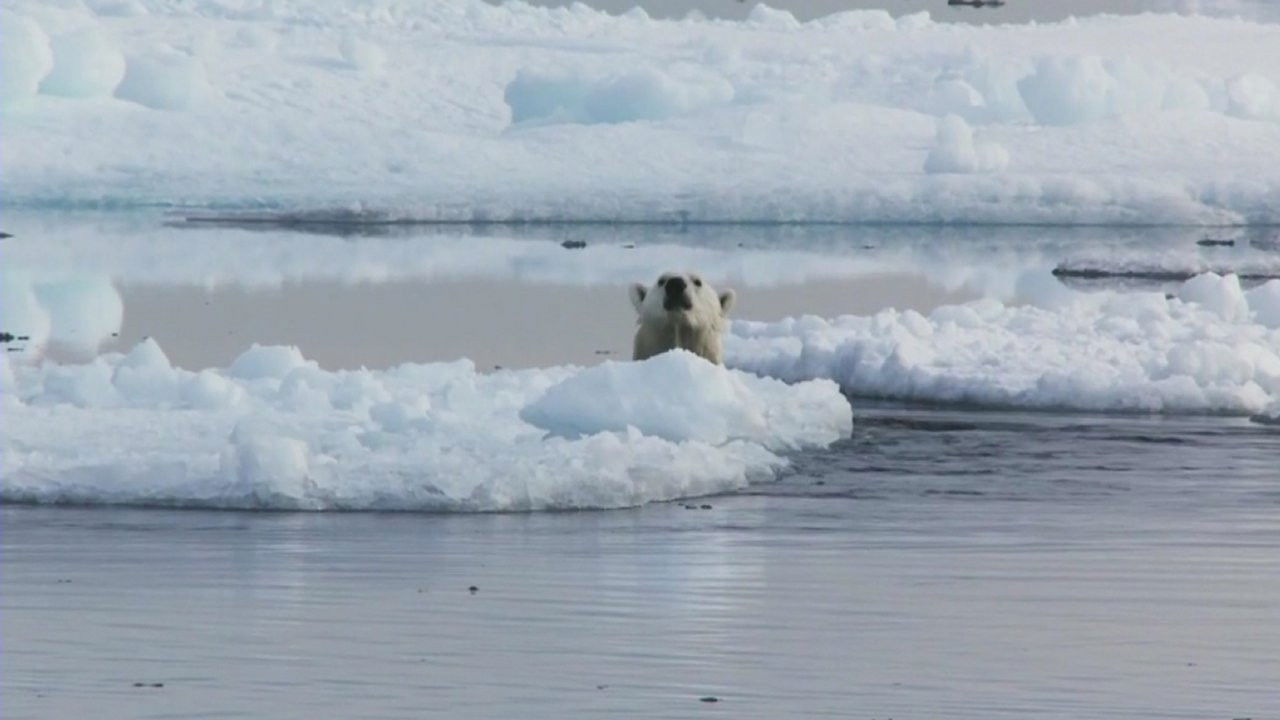 Destination Wild : Russie à l’état sauvage — Épisode 1
