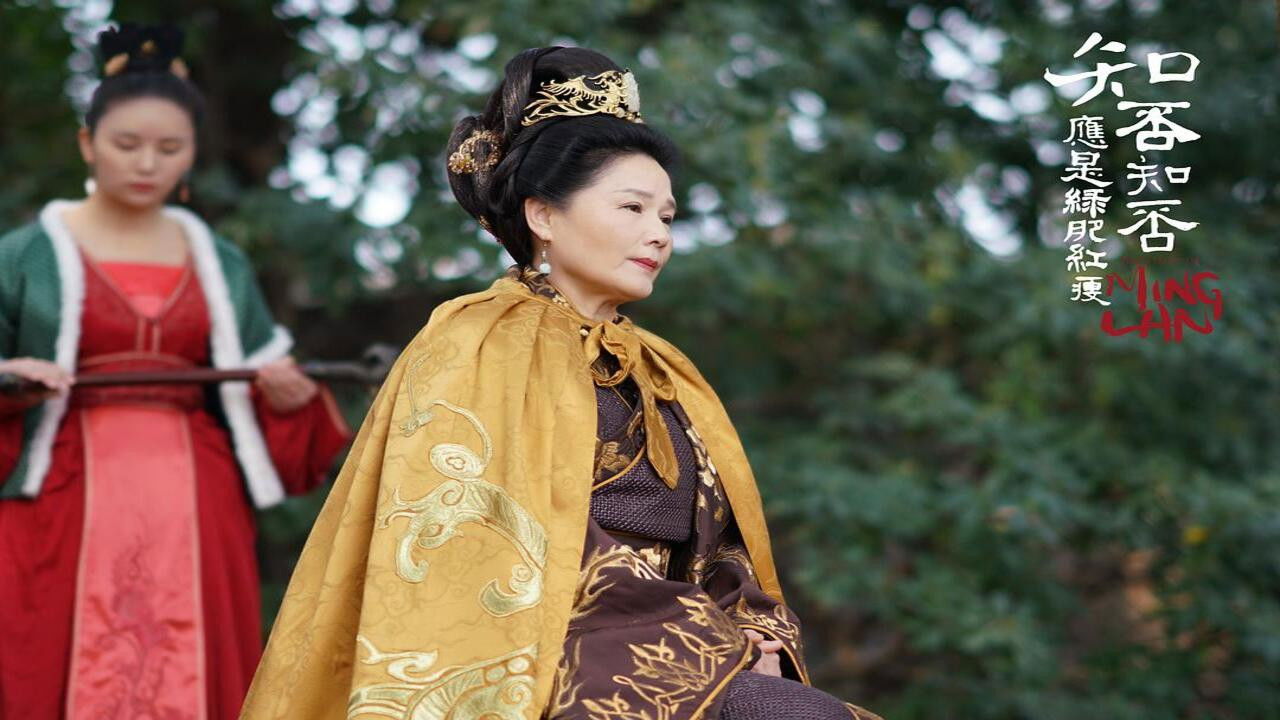 知否知否应是绿肥红瘦 DVD版 — Épisode 46