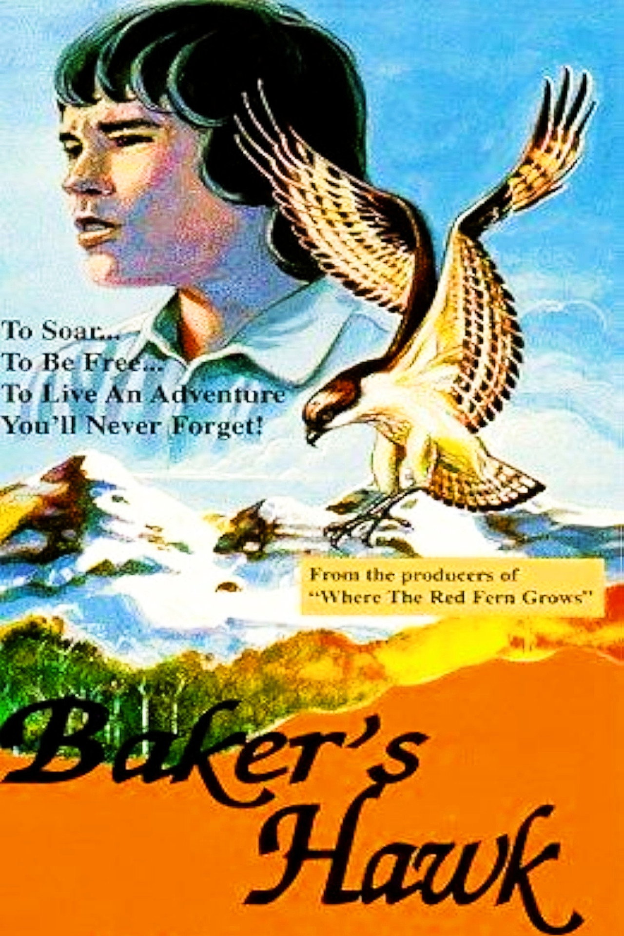 posters 4