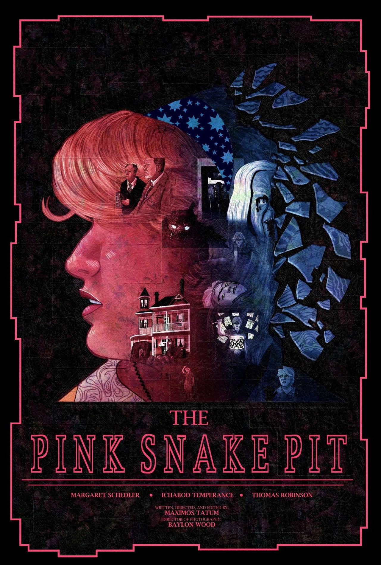 The Pink Snake Pit filmaffisch