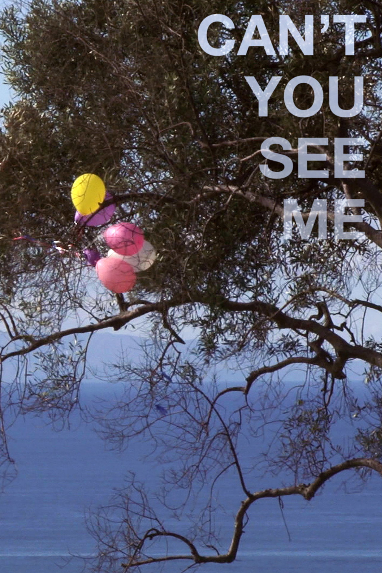 Can't You See Me filmaffisch