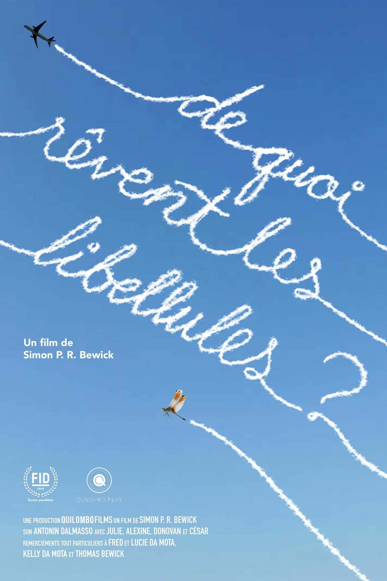 De quoi rêvent les libellules? De quoi rêvent les libellules?
