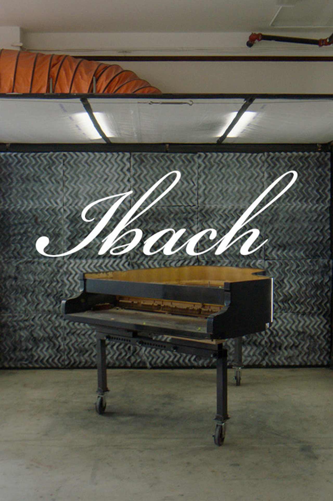 Ibach filmaffisch