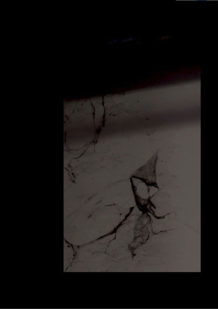 RITUAL, Part IV: The Blends poster