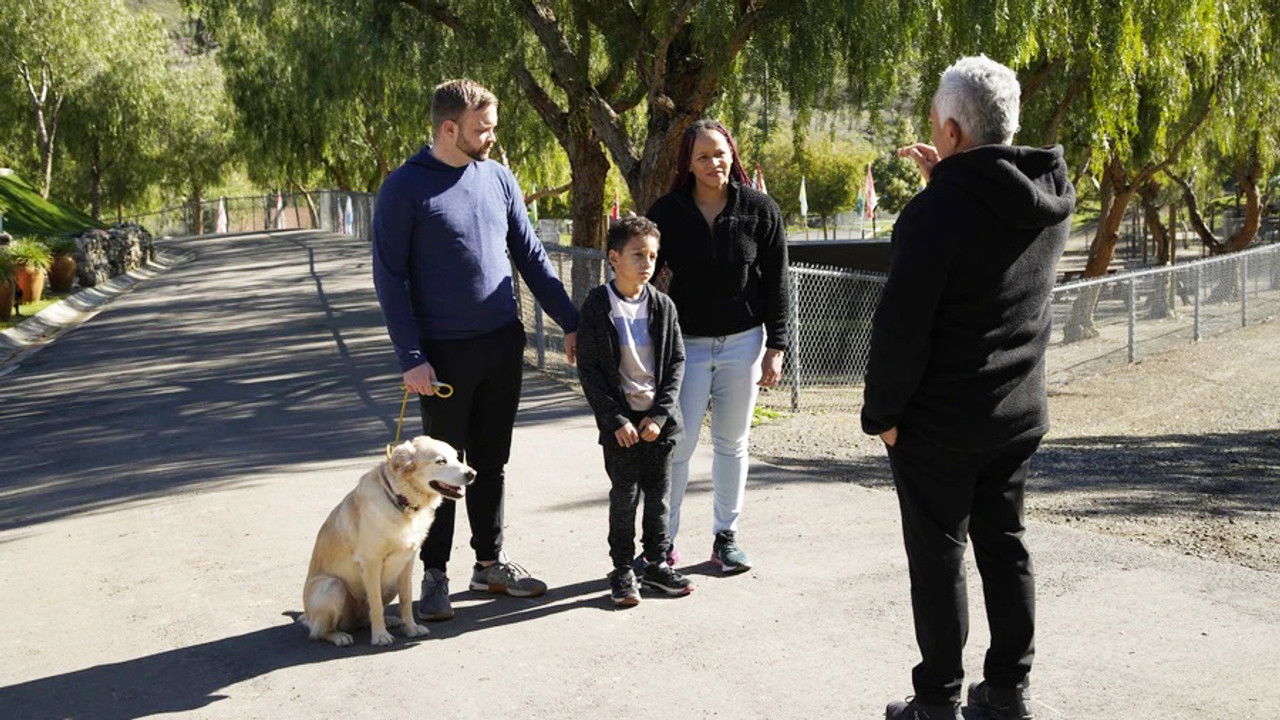 Cesar Millan: Tel Maître, Tel Chien — Épisode 3