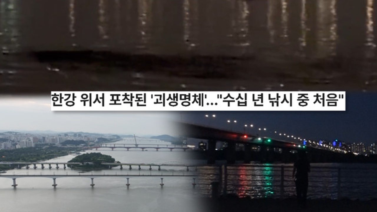 궁금한 이야기 Y - Season 1 Episode 744 : Episode 744