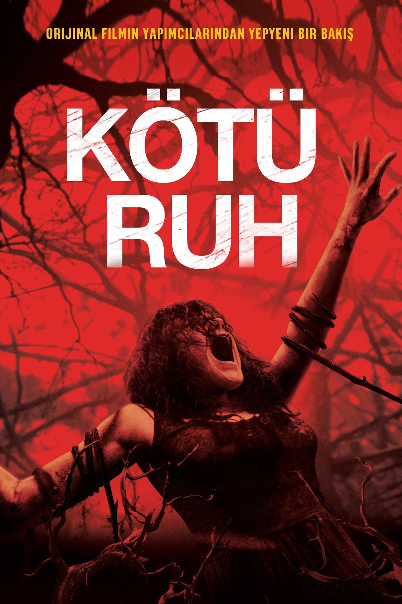 Kötü Ruh Poster