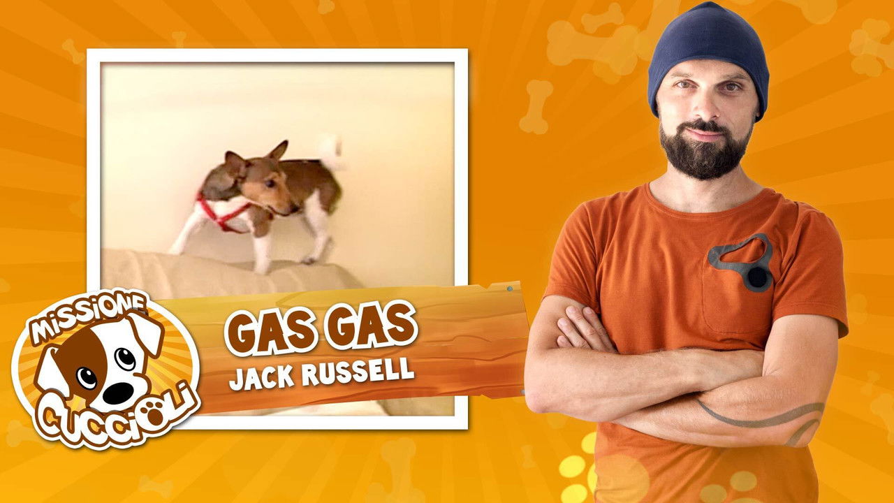 Missione cuccioli — Épisode 5