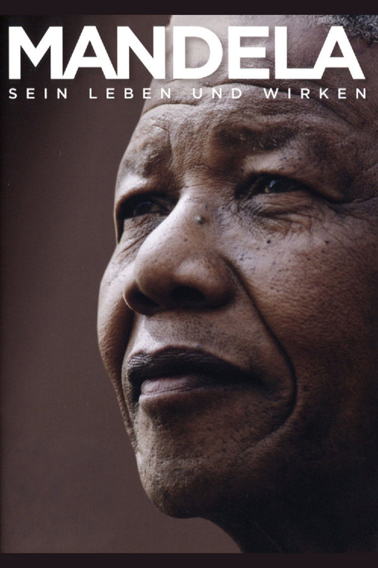 Madiba: The Life and Times of Nelson Mandela poster