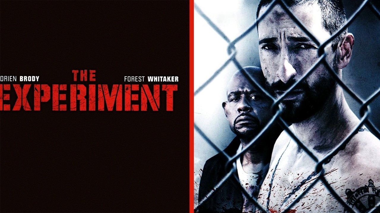 The Experiment (2010)