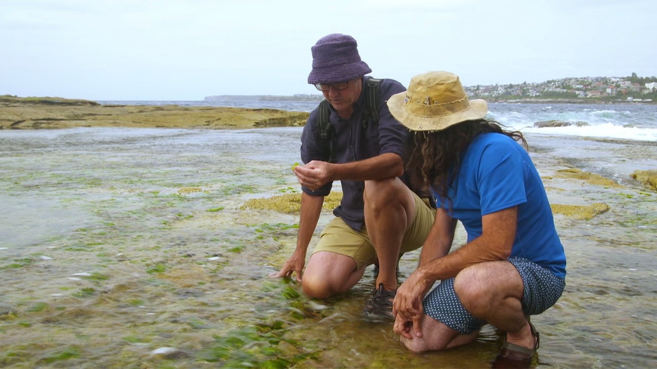 Gardening Australia - Season 29 Episode 6 : Episode 6