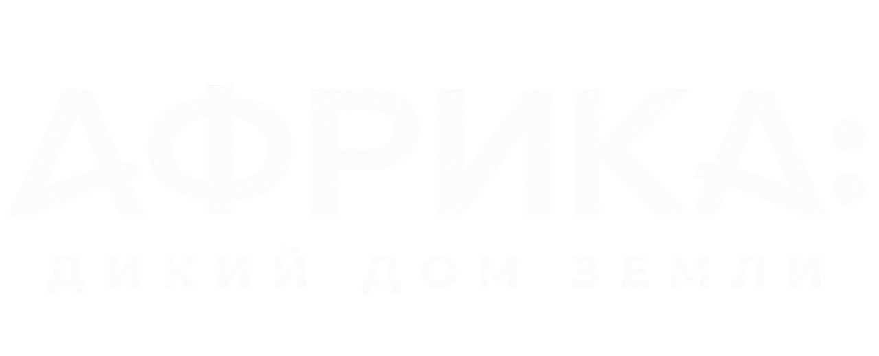 Африка: Дикий дом Земли