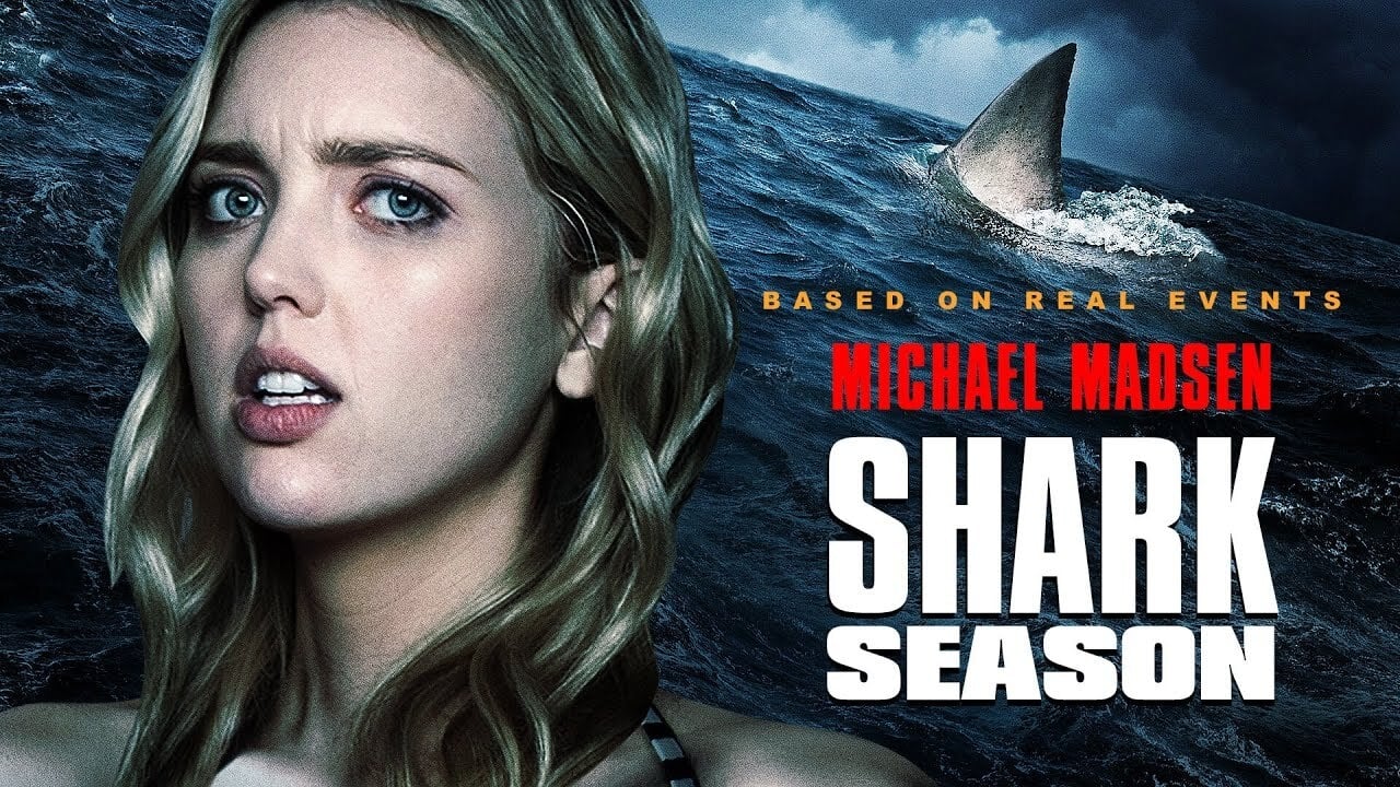 Shark Season background