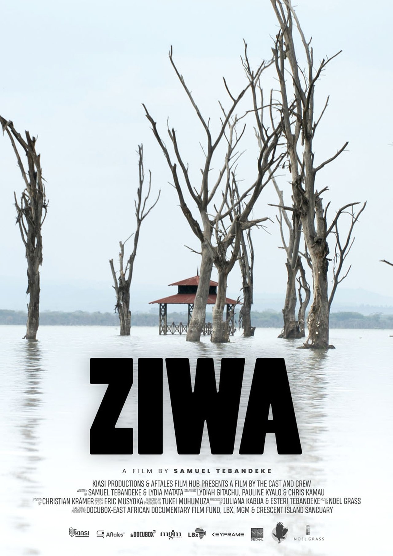 Ziwa Ziwa