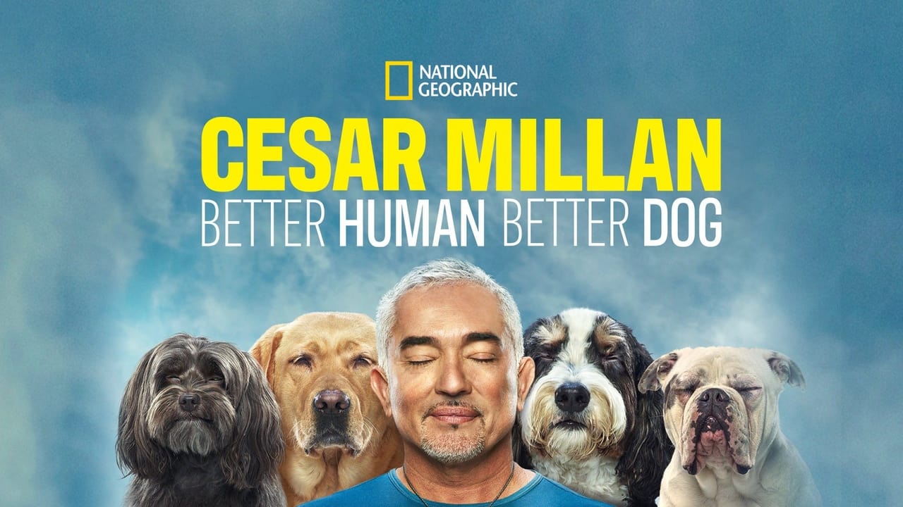 Cesar Millan: Mejores Humanos, Mejores Perros background