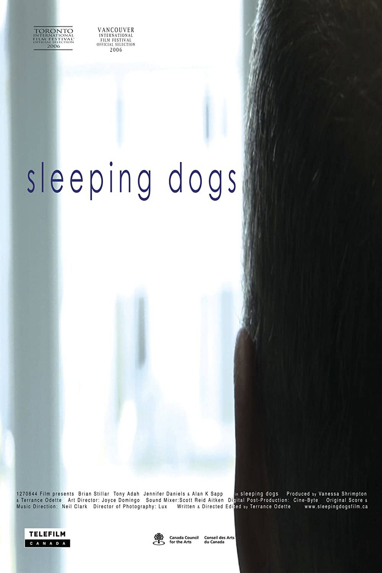 Sleeping Dogs filmaffisch