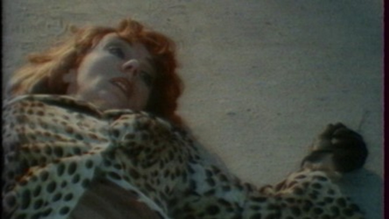 L'inspecteur mène l'enquête — La chasse aux tuileries