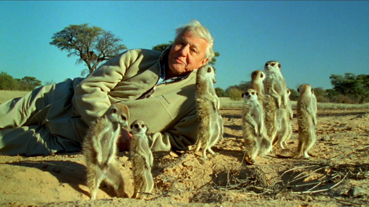 Nature - Season 31 Episode 6 : Attenborough's Life Stories: Understanding the Natural World