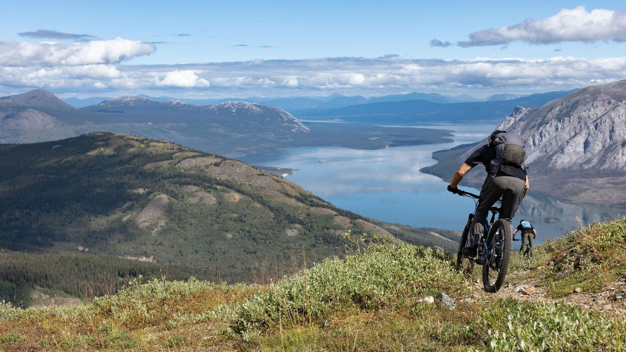 Partis rouler backdrop image