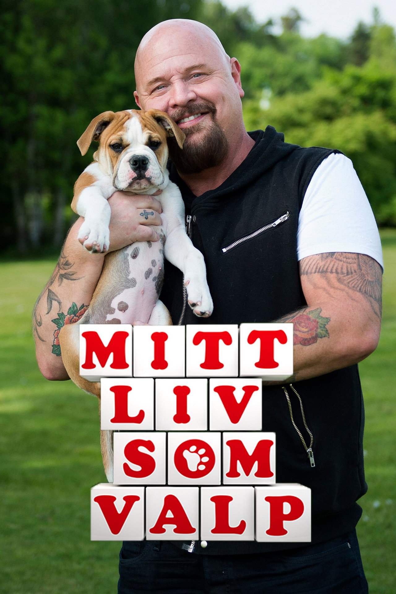 Mitt liv som valp affisch