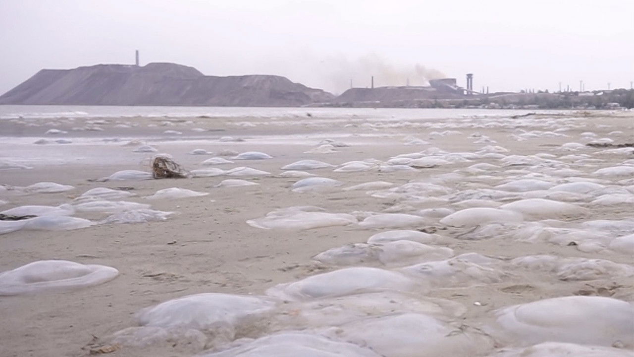 Територія пустих вікон