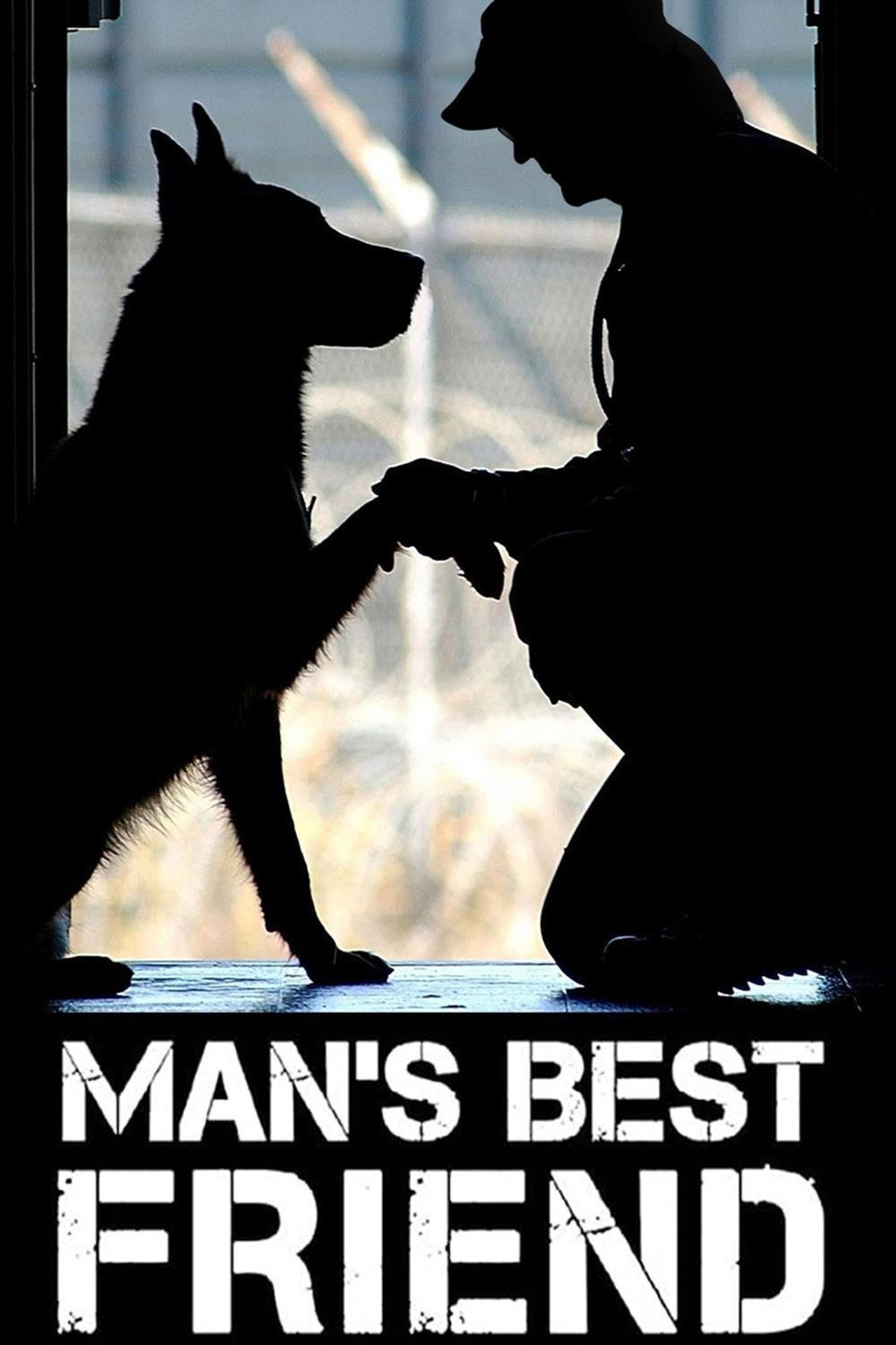 MBF: Man's Best Friend still 3