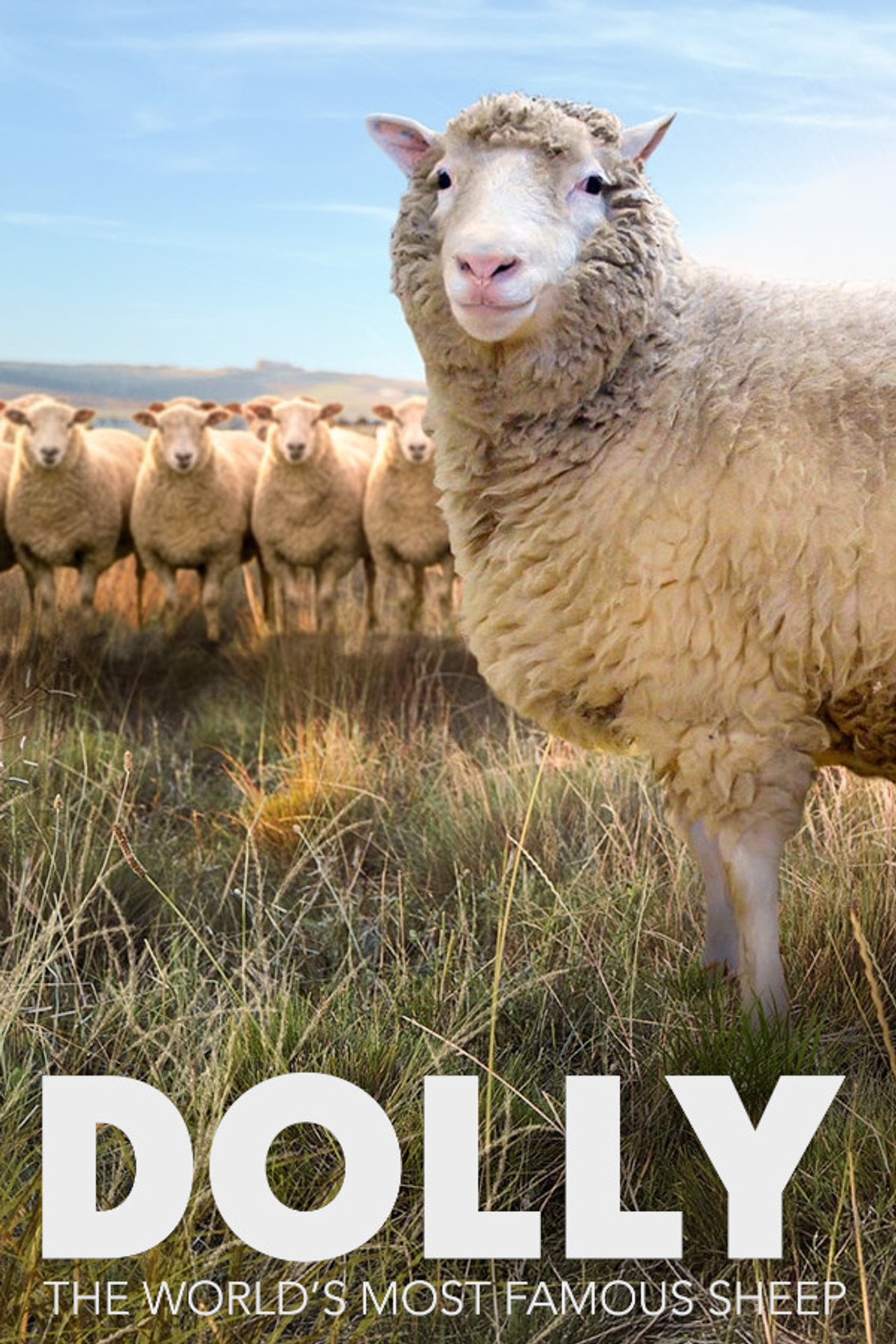 Dolly: The World's Most Famous Sheep