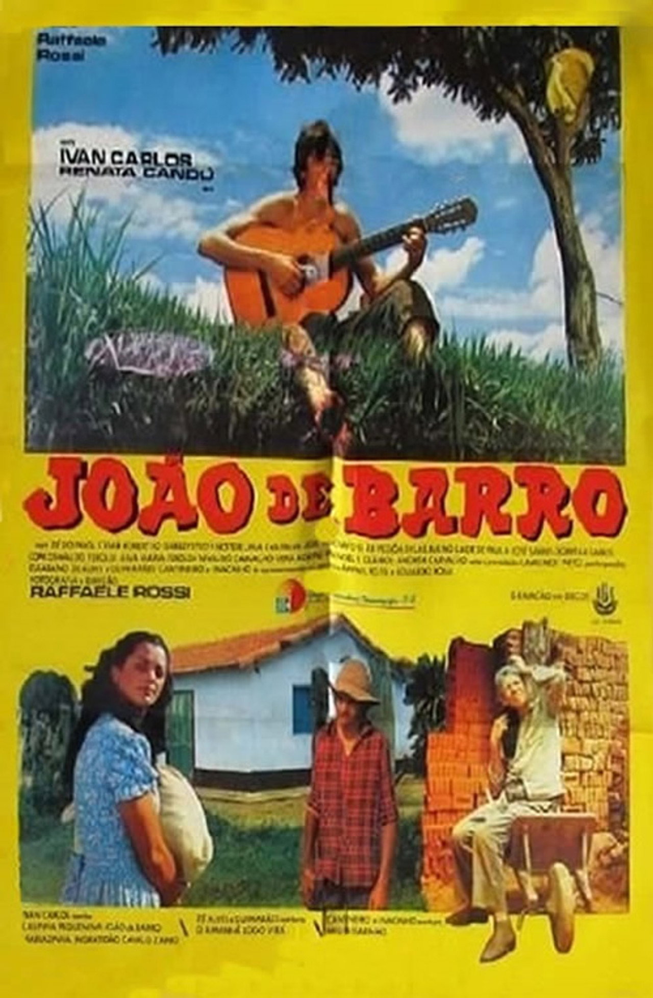 João de Barro Backdrop