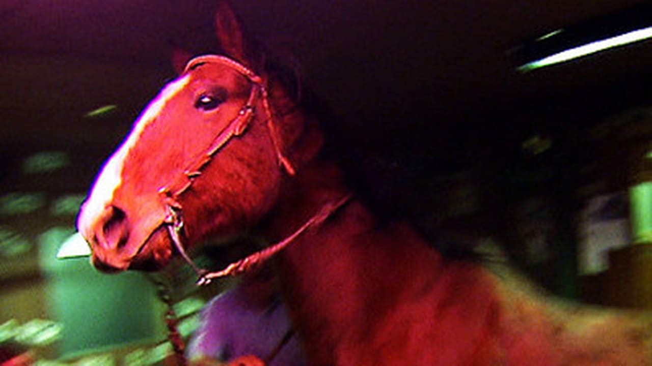 Bar Rescue - Season 3 Episode 9 : A Horse Walks Into a Bar