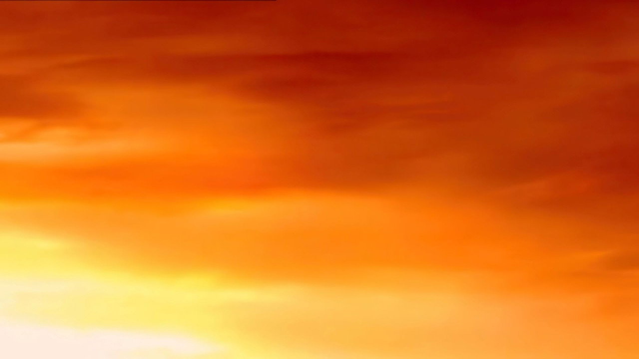 Fondo