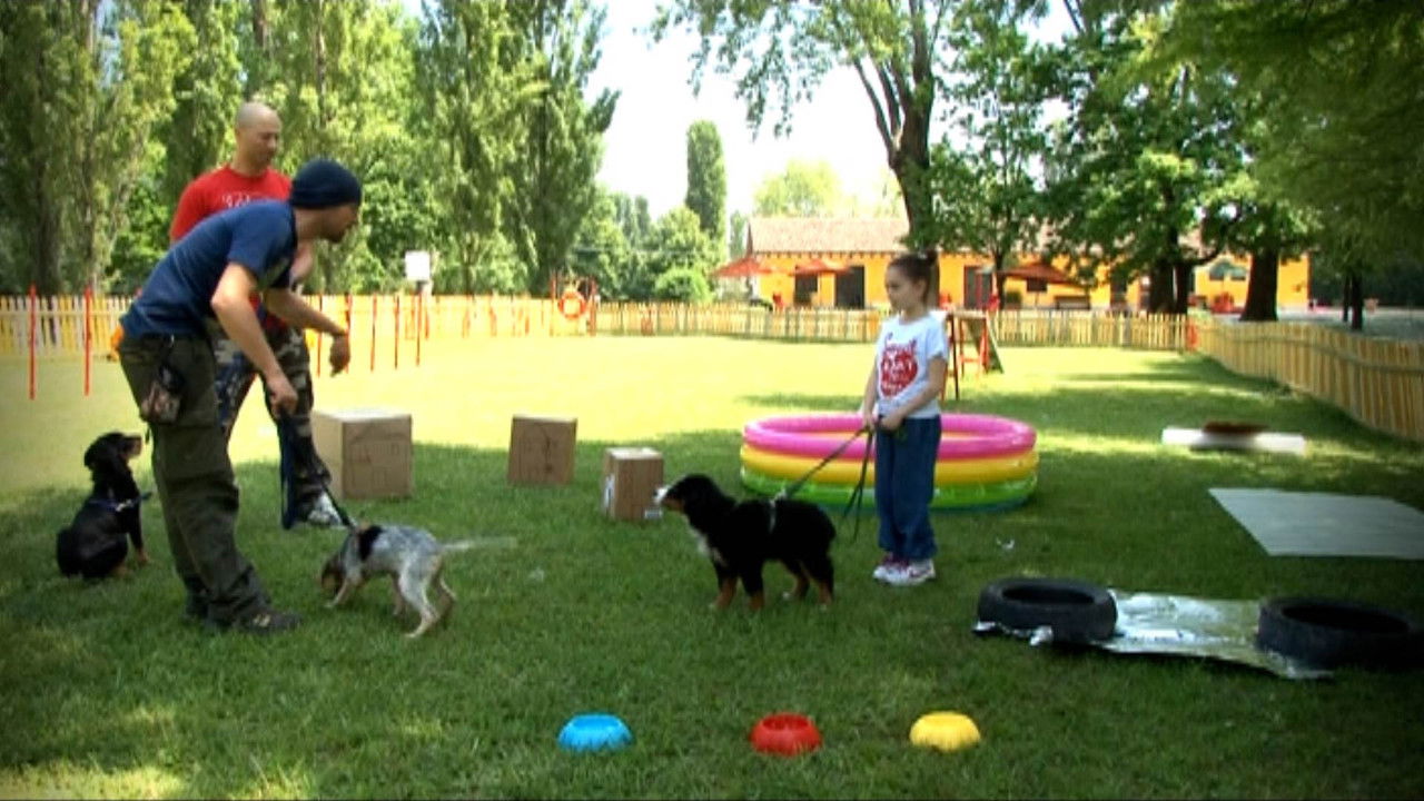 Missione cuccioli — Épisode 11