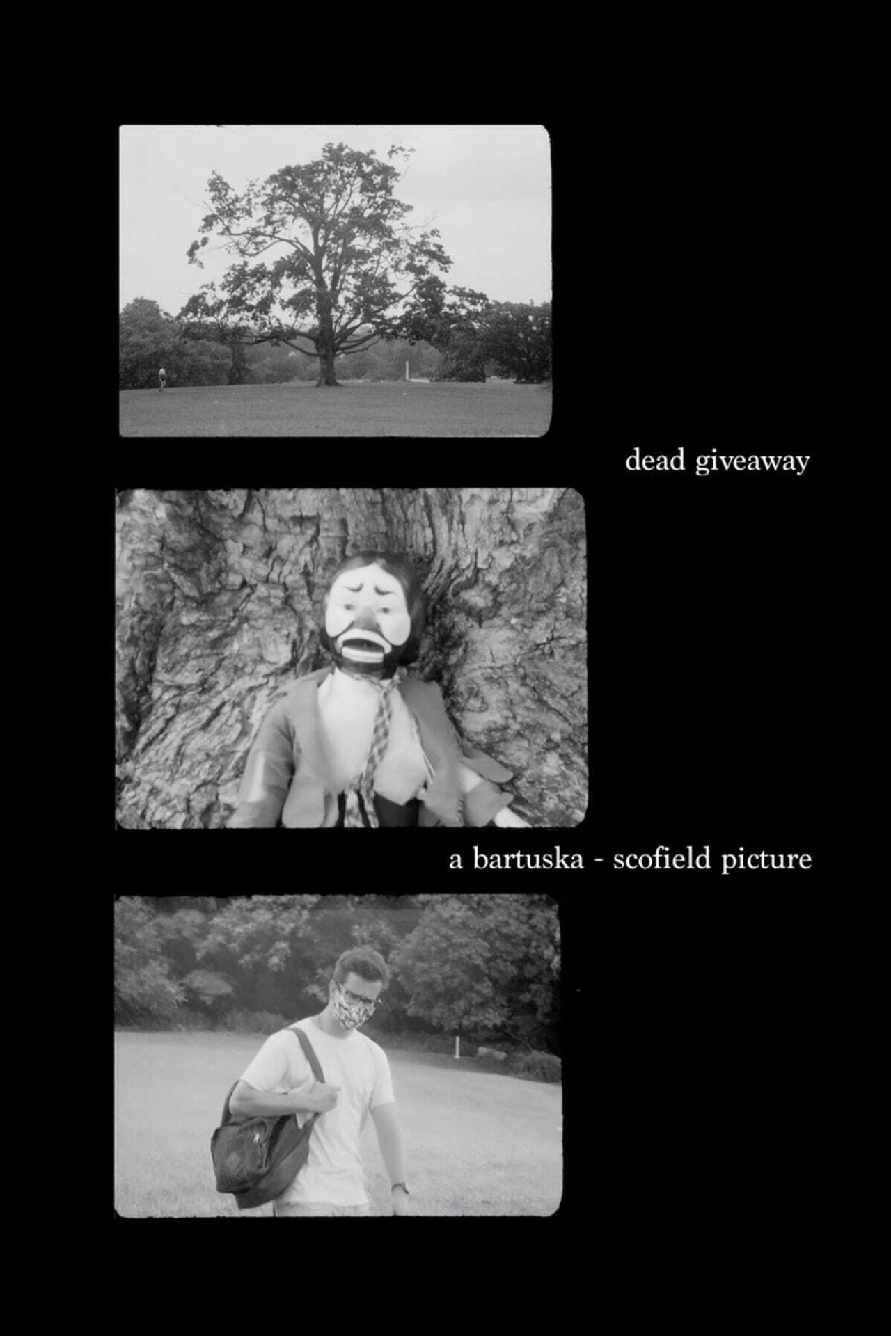 Dead Giveaway! Backdrop