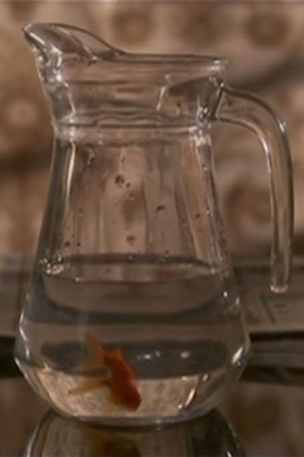 Un Si Petite Distance Backdrop