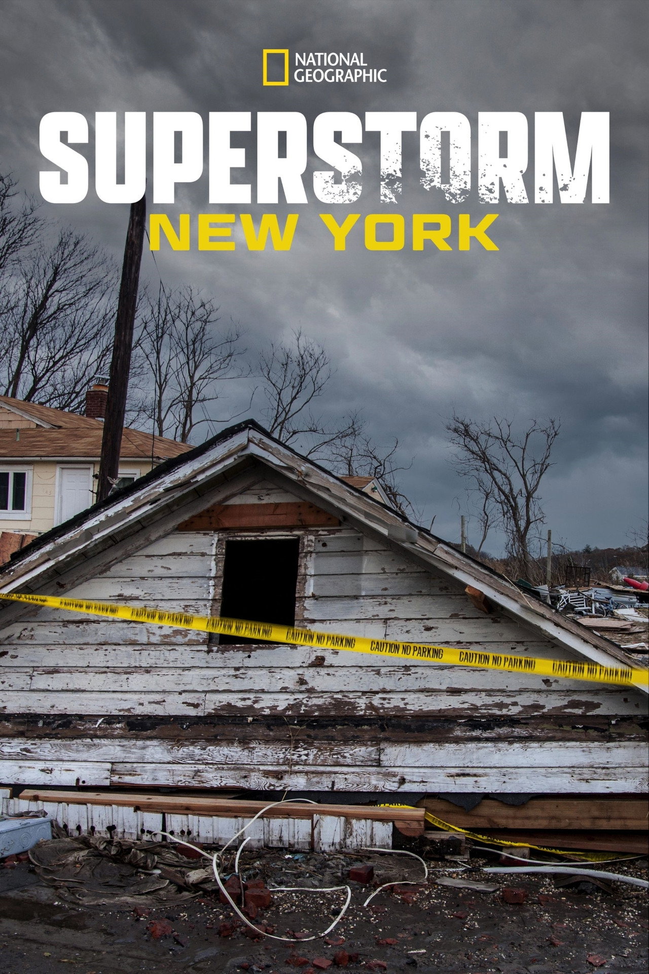 Superstorm New York: What Really Happened filmaffisch