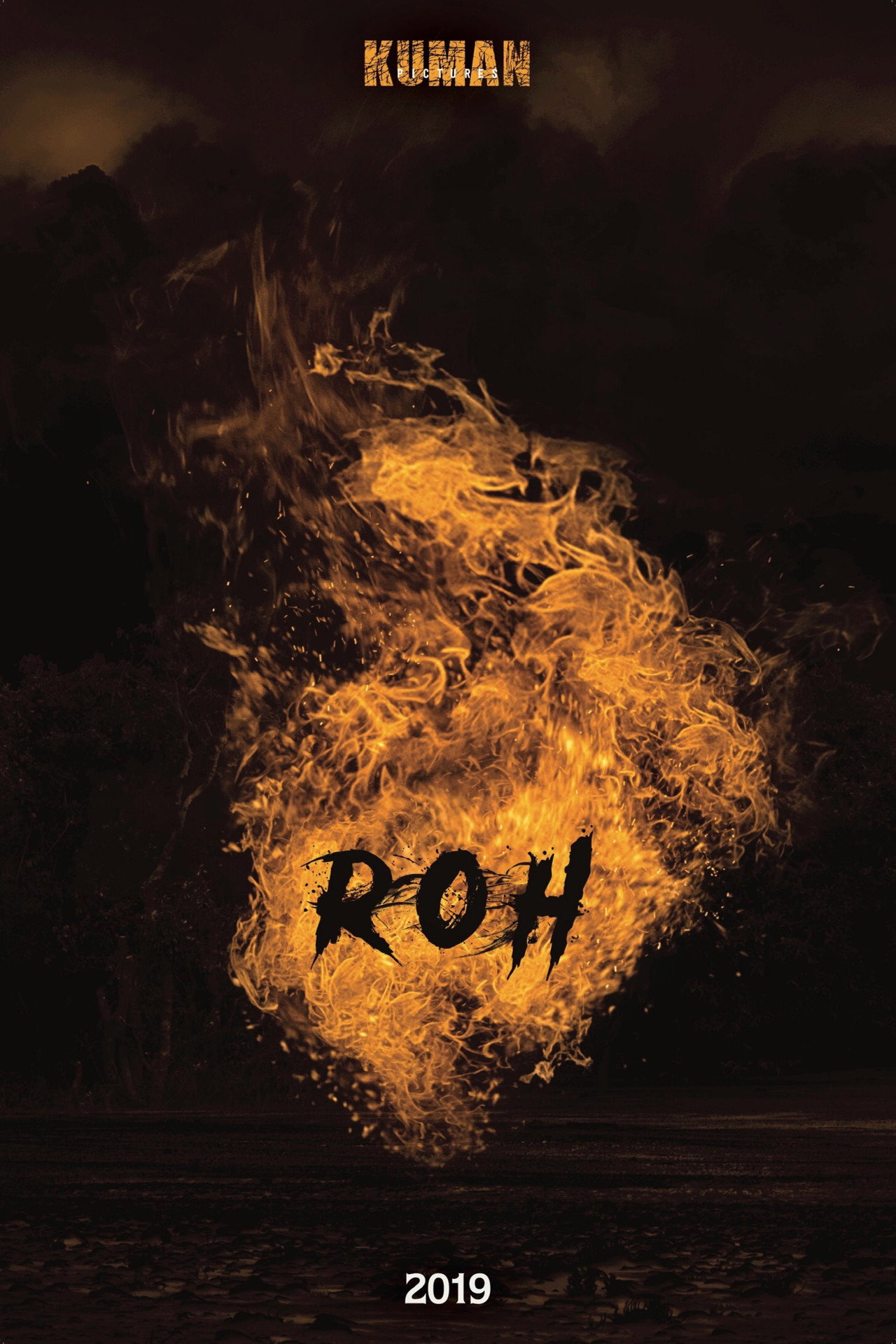 Roh filmaffisch
