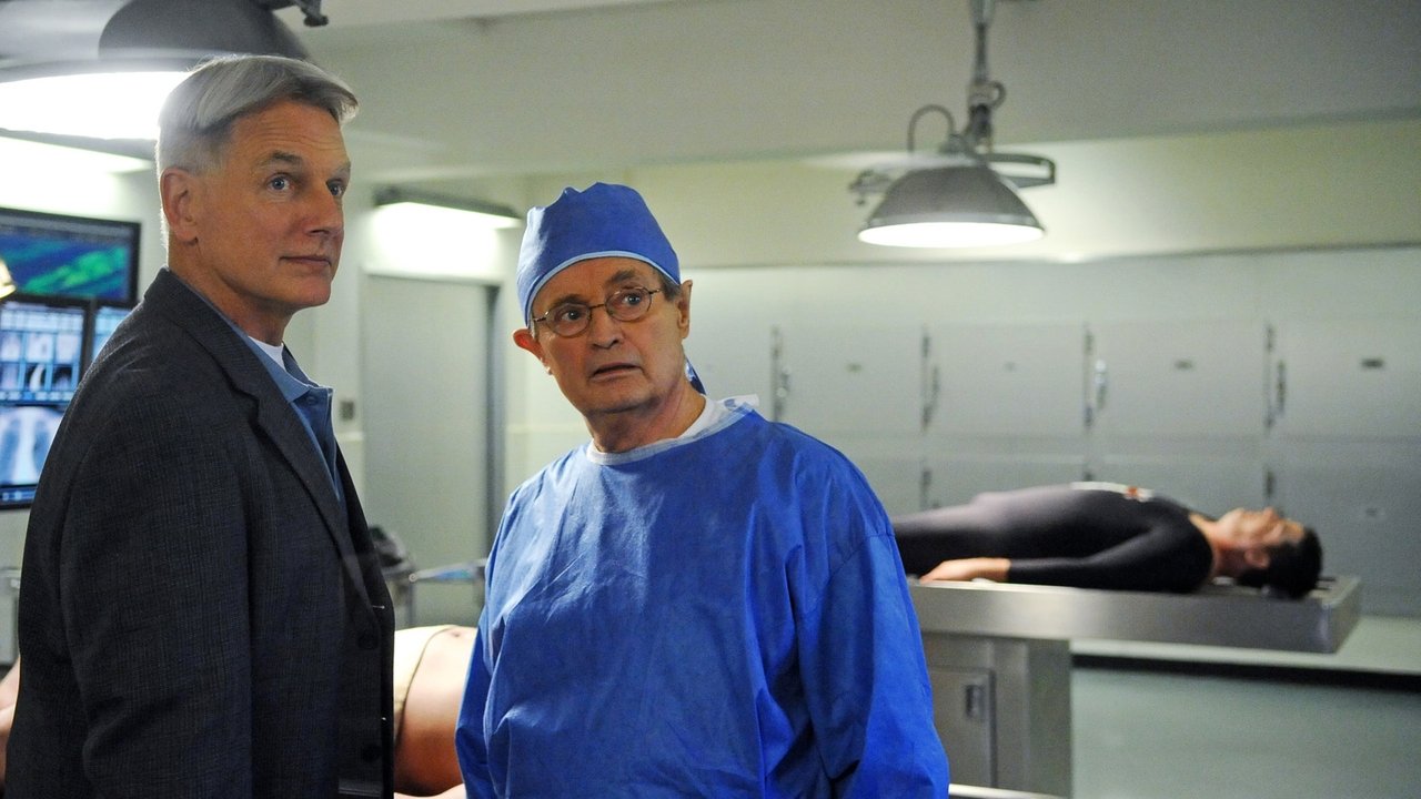 NCIS - Season 9 Episode 15 : Secrets