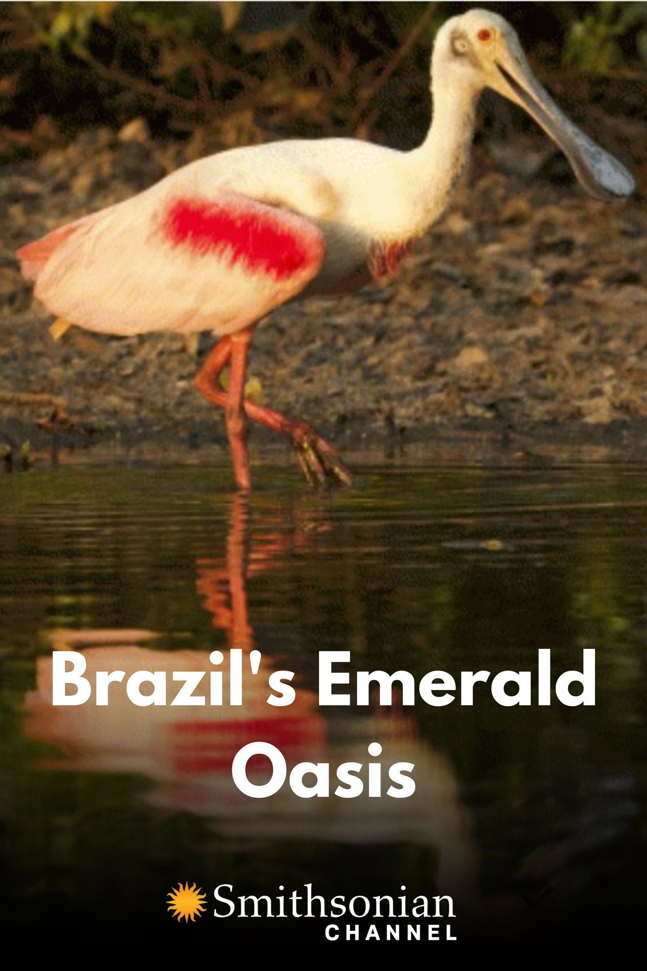Brazil's Emerald Oasis filmaffisch