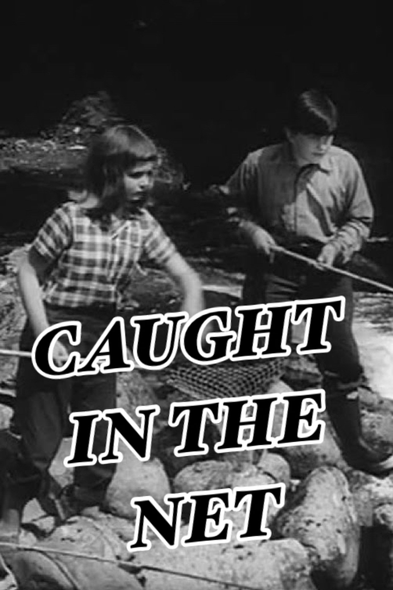 Caught in the Net Caught in the Net
