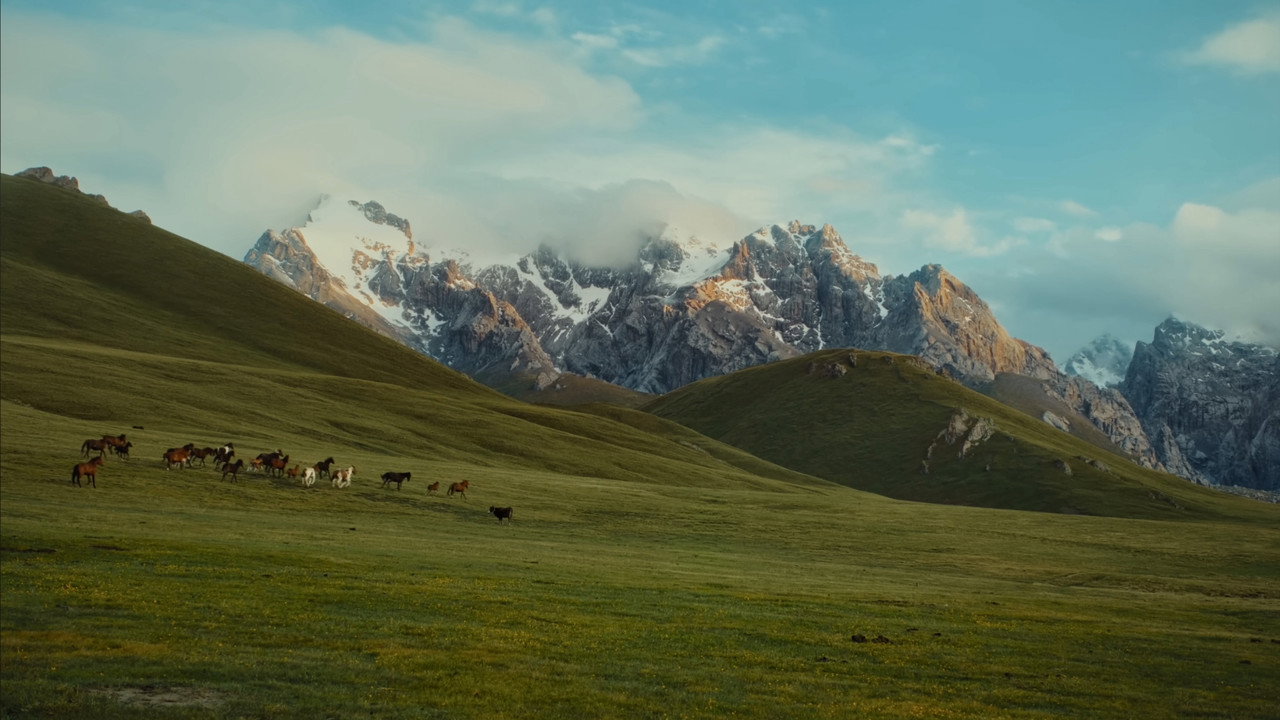 scenes 13