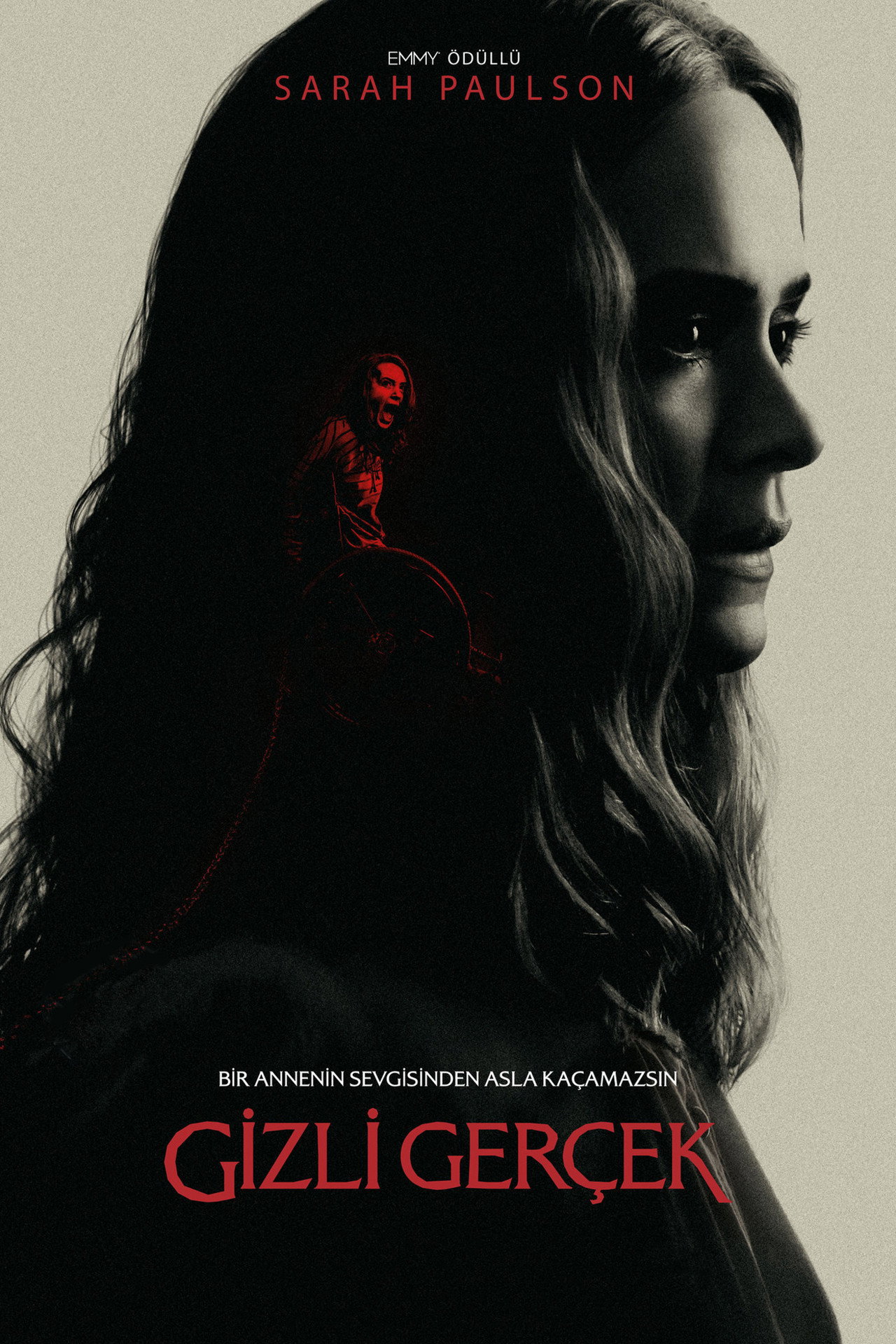 Gizli Gerçek Poster