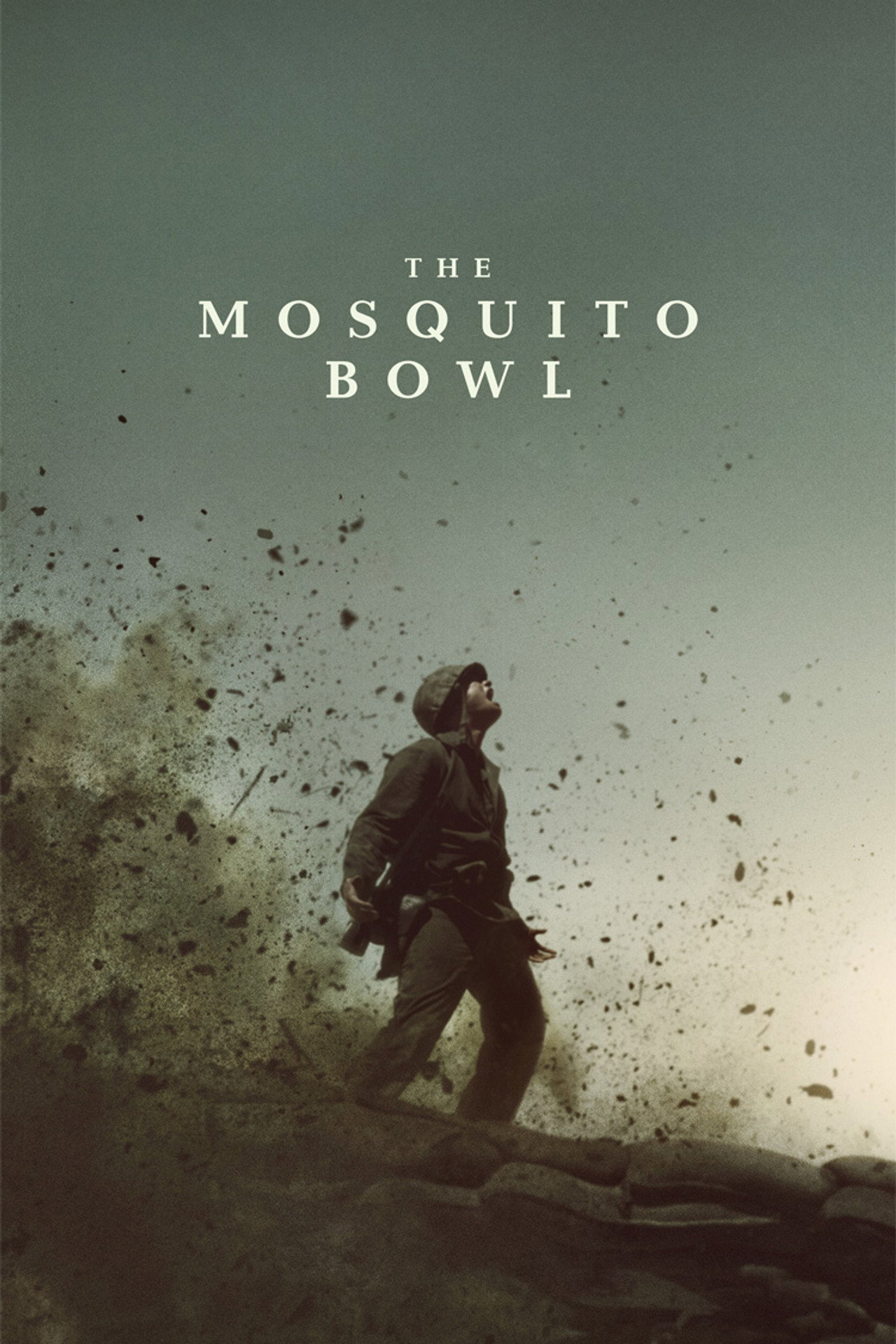The Mosquito Bowl