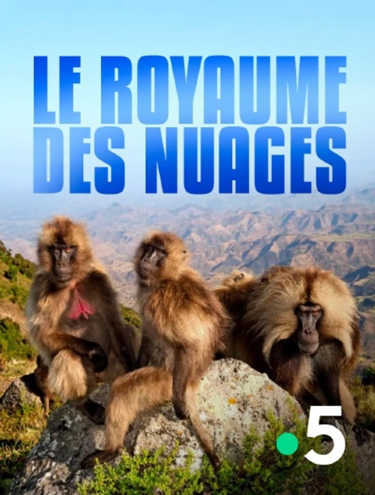 Le royaume des nuages poster
