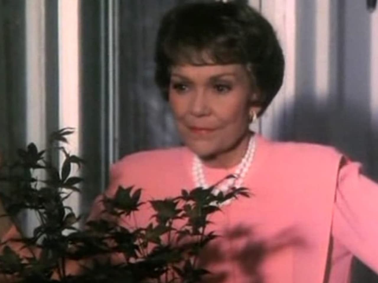 Falcon Crest - Season 5 Episode 2 : Unfinished Business