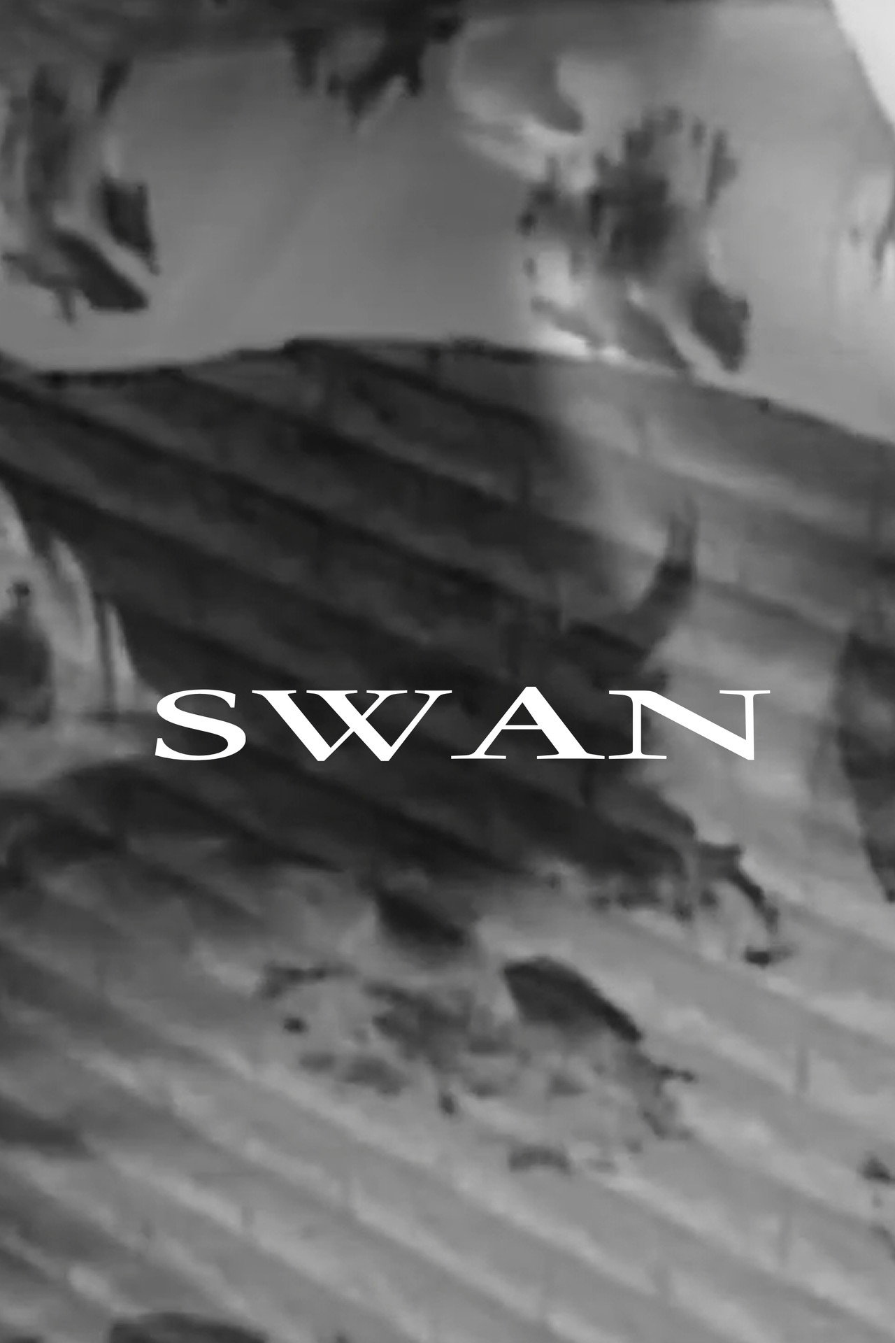 Swan filmaffisch