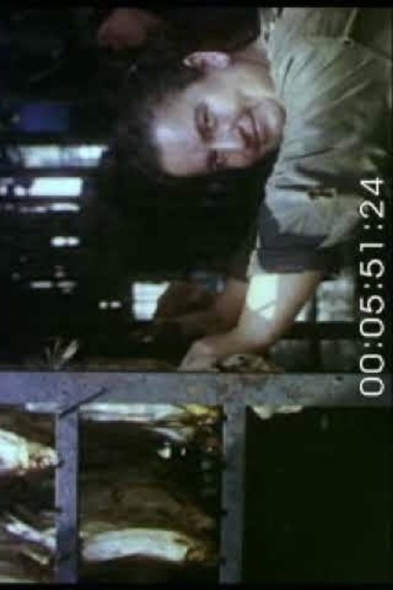 Пейзаж. Портрет. Натюрморт filmaffisch