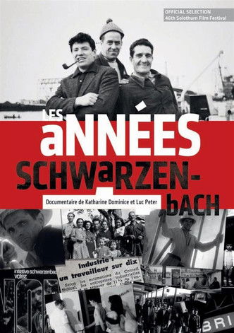 Les années Schwarzenbach poster