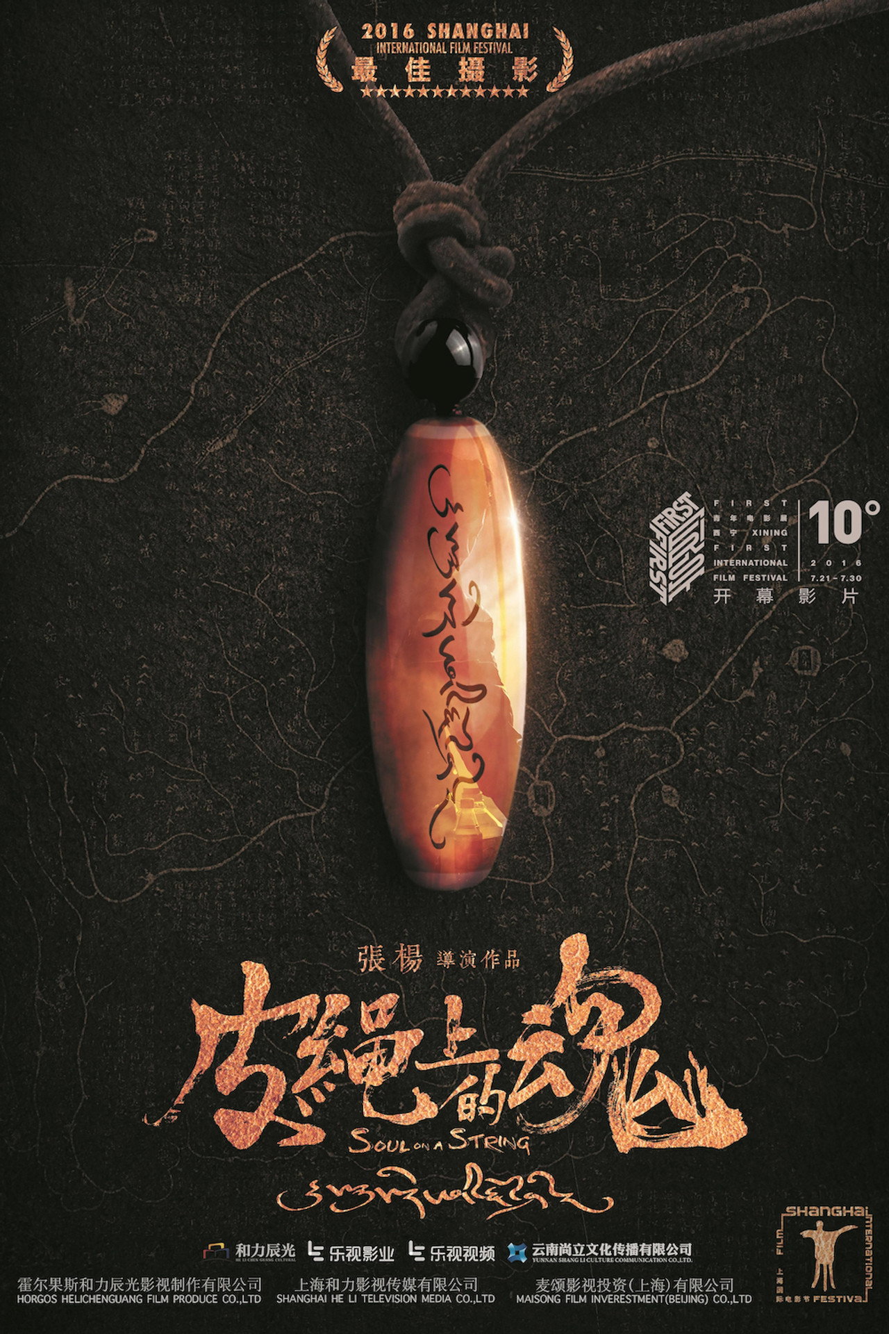 皮绳上的魂 filmaffisch